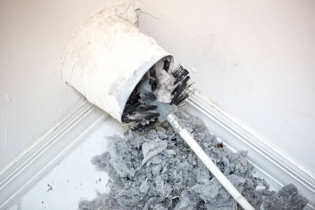 Best Affordable Air Duct Cleaning  in Dania Beach, FL